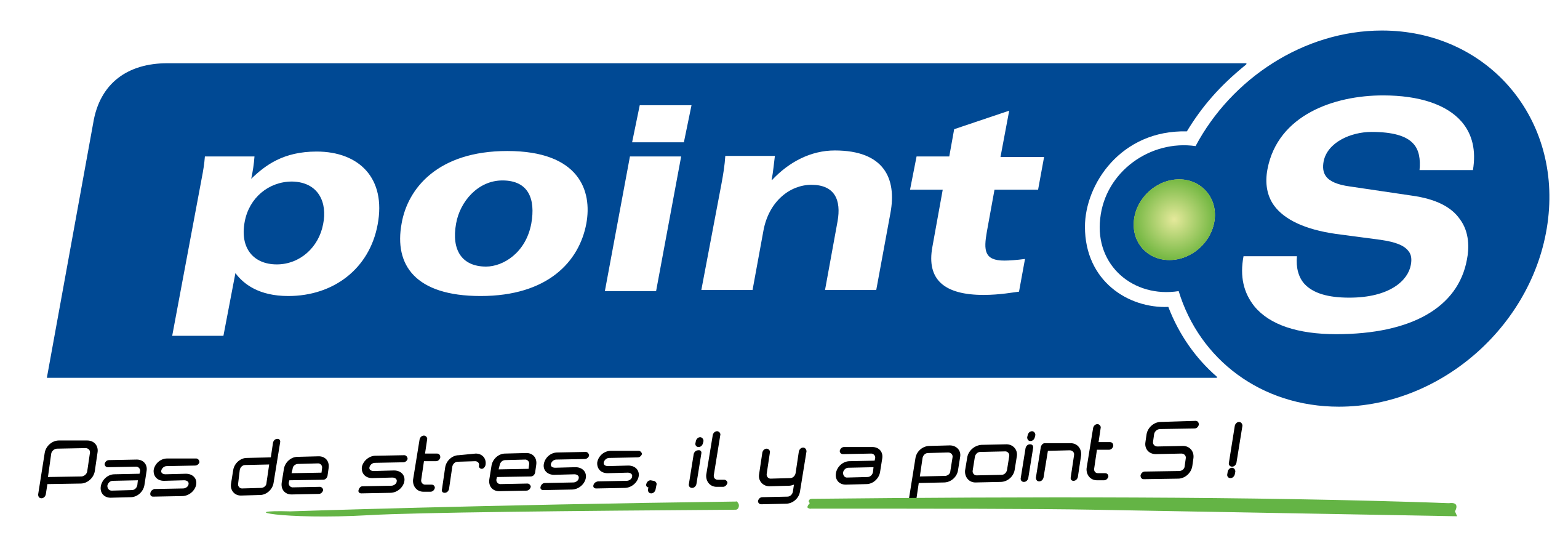 Logo Point S