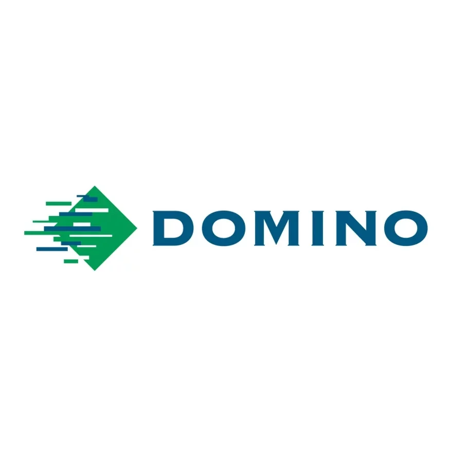 Logo DOMINO