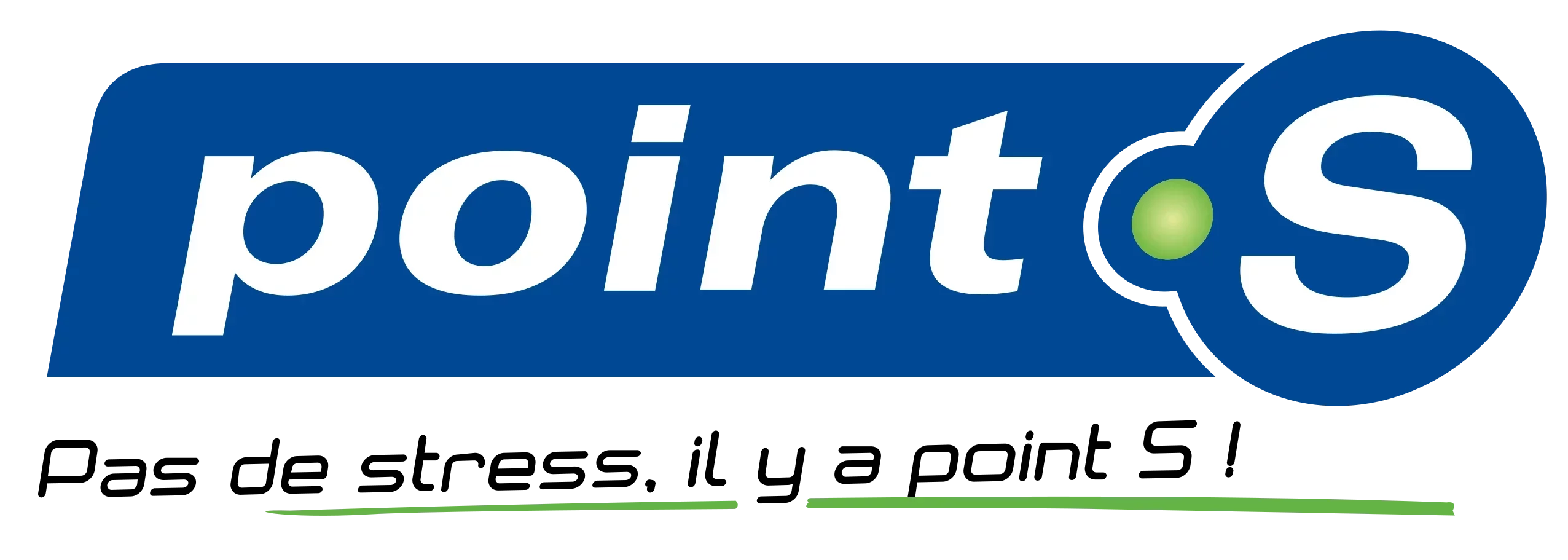 Logo Point S