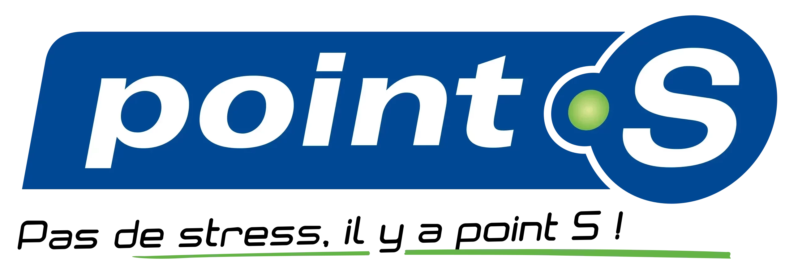 Logo Point S